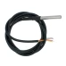 18B20 Digital Temperature Sensor - 2m cable 18B20 Digital Temperature Sensor - 2m cable